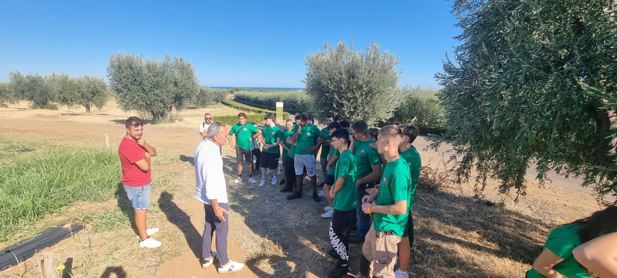 Il confronto con gli esperti del territorio, tra gli uliveti della costa jonica