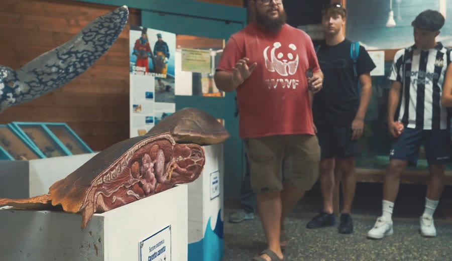 Centro WWF Tartarughe Marine